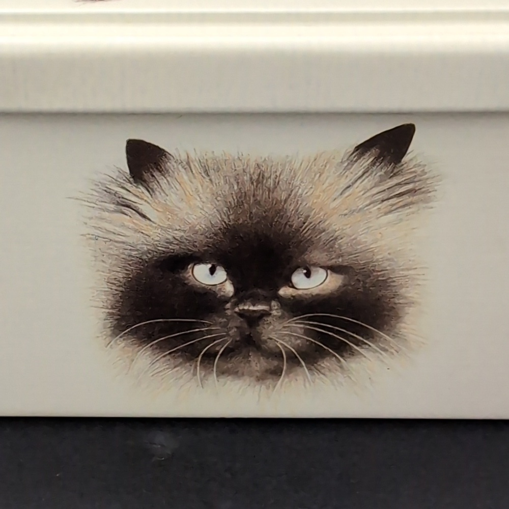 VGT,Massilly France Rectangular Off-white Lidded Tin with Cat Illustrations. - Picture 7 of 13